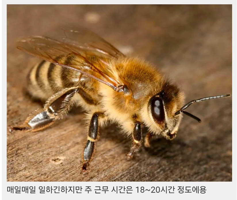 1000101432.webp
