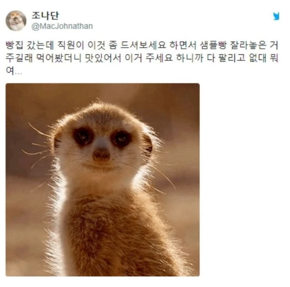 스크린샷 2026-05-08 141818.png