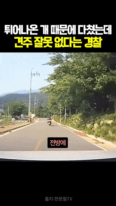 1000053915.gif