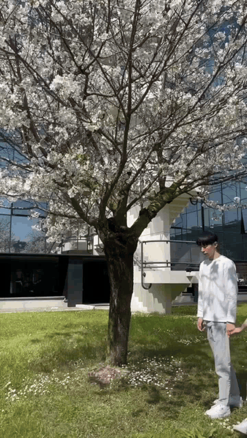 1000014672.gif