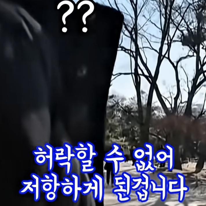 8889.jpg