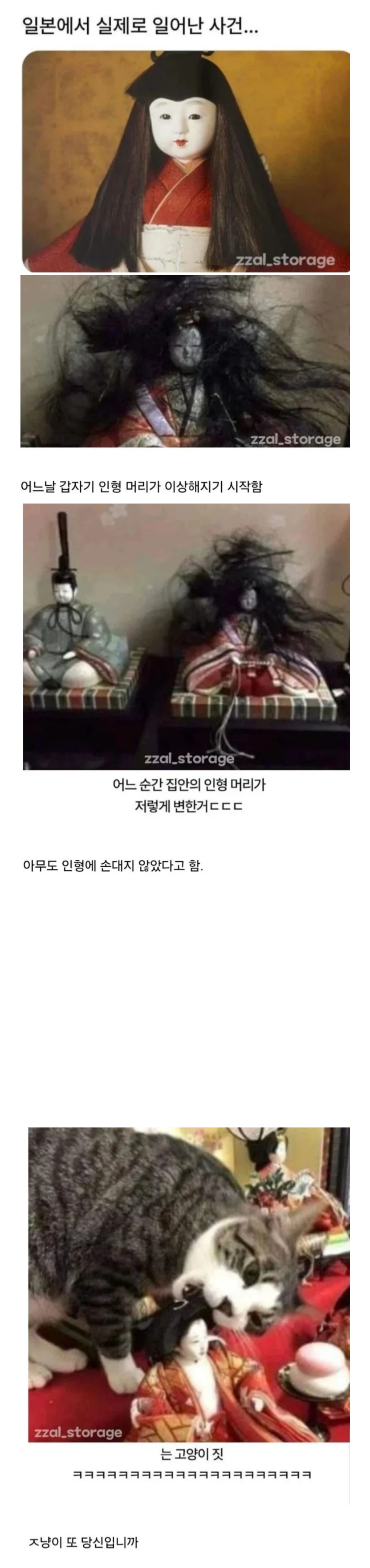 1000101797.webp