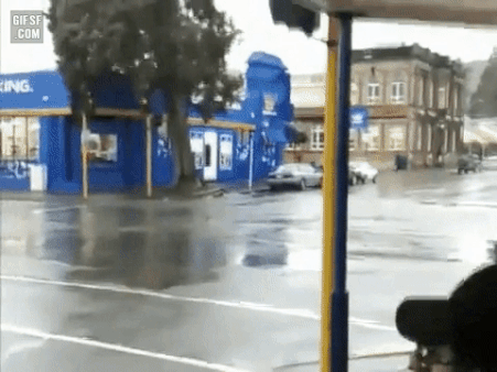 e5ecd2468628b473b8c79b46ebc0b6a0ff671a3d_20260511122325.gif