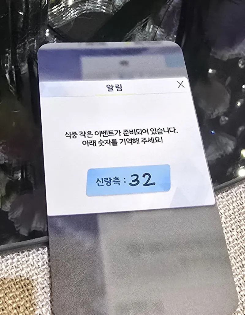 1.webp