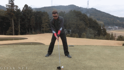 3.gif