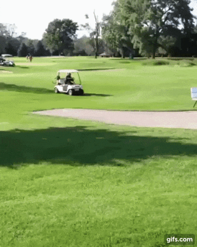 12.gif