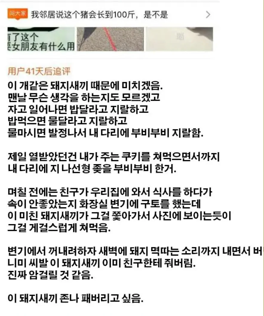 1000102024.webp