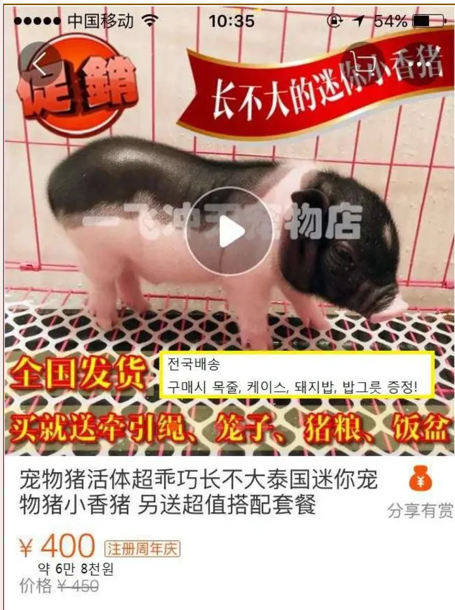 1000102023.webp