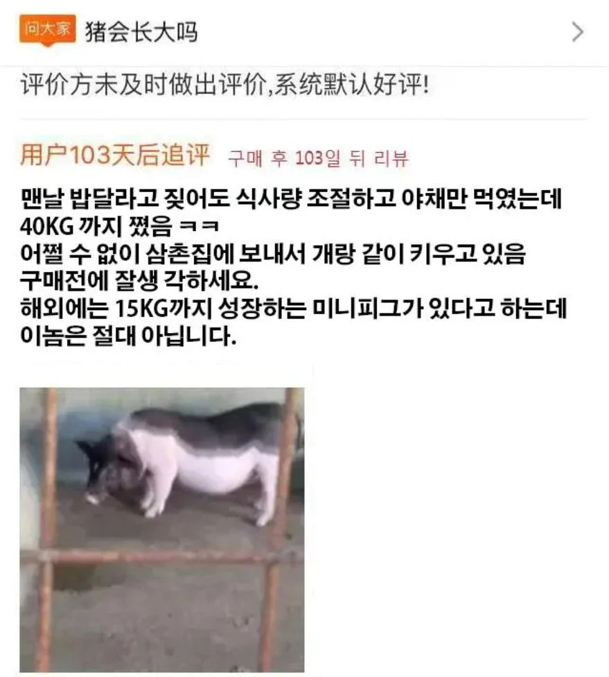 1000102025.webp