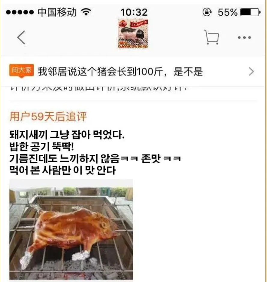 1000102026.webp
