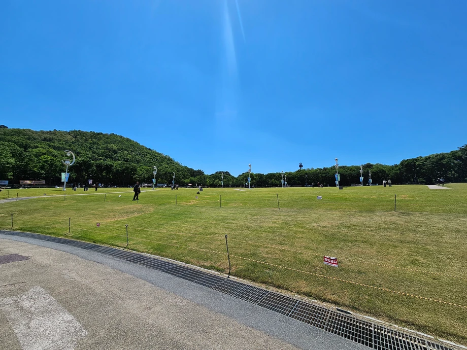 1000102030.webp