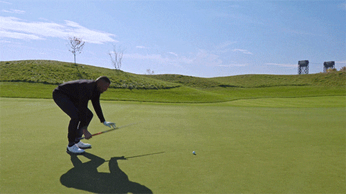 21.gif