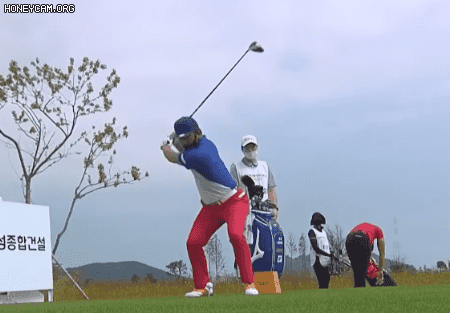 23.gif