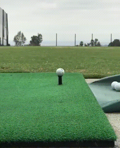 24.gif