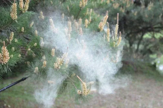df6eb145-f4a1-4c1d-8525-80b5512351c0_9814157612_486616_9e.webp