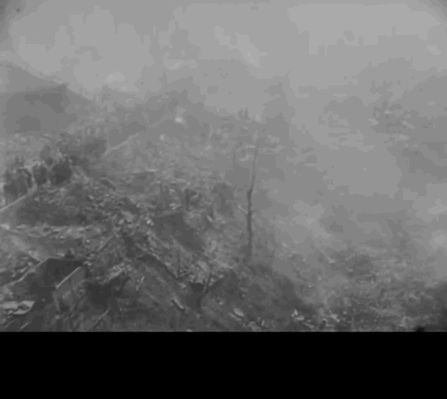 IMB_adQORU.gif