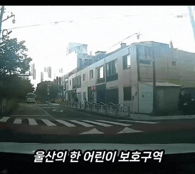 GIF_20260513_093416_794.gif