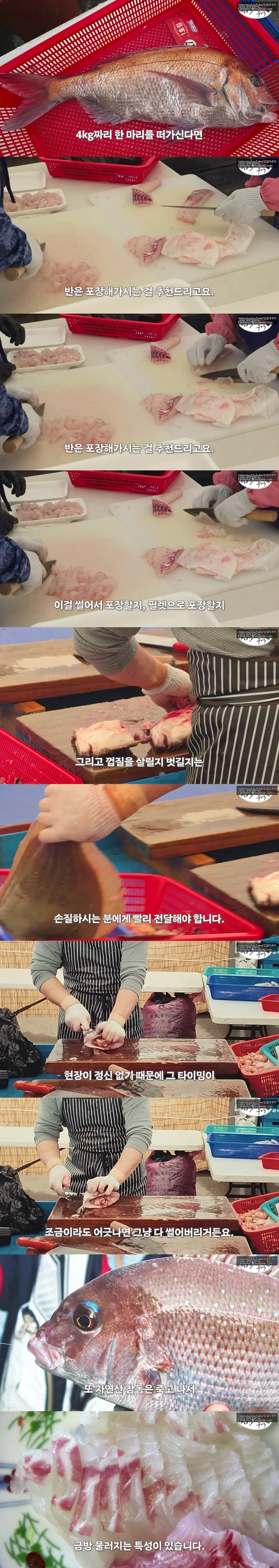 Internet_20260513_131603_17.webp