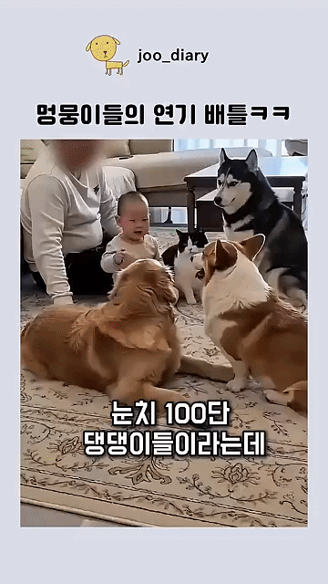 ezgif-801736e72b16dc43.gif