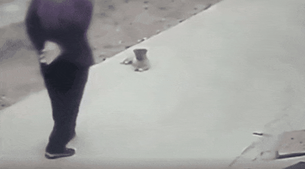 Internet_20260501_073735_2.gif