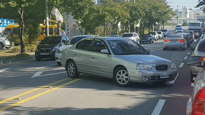 IMG_8152.gif