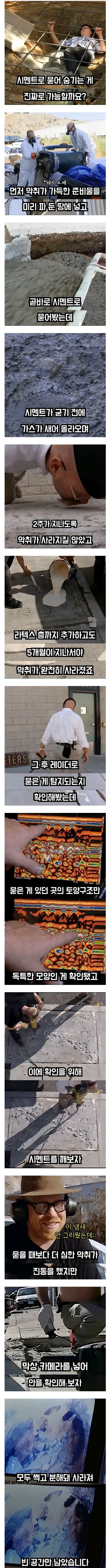 1000102407.webp