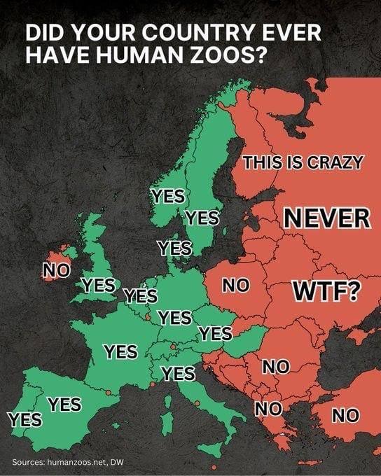 1778726305143-1.jpg