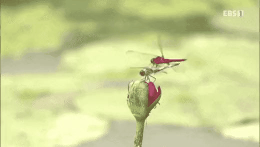 zall1630394457_1770971578.gif
