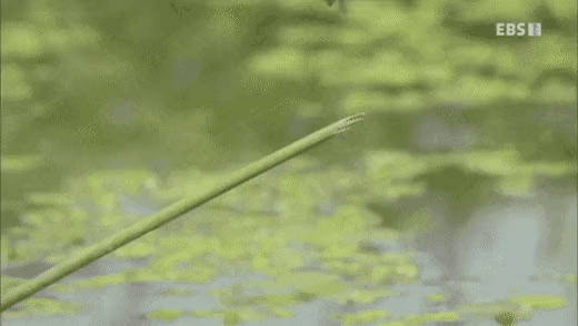 zall1630394493_1050575281.gif