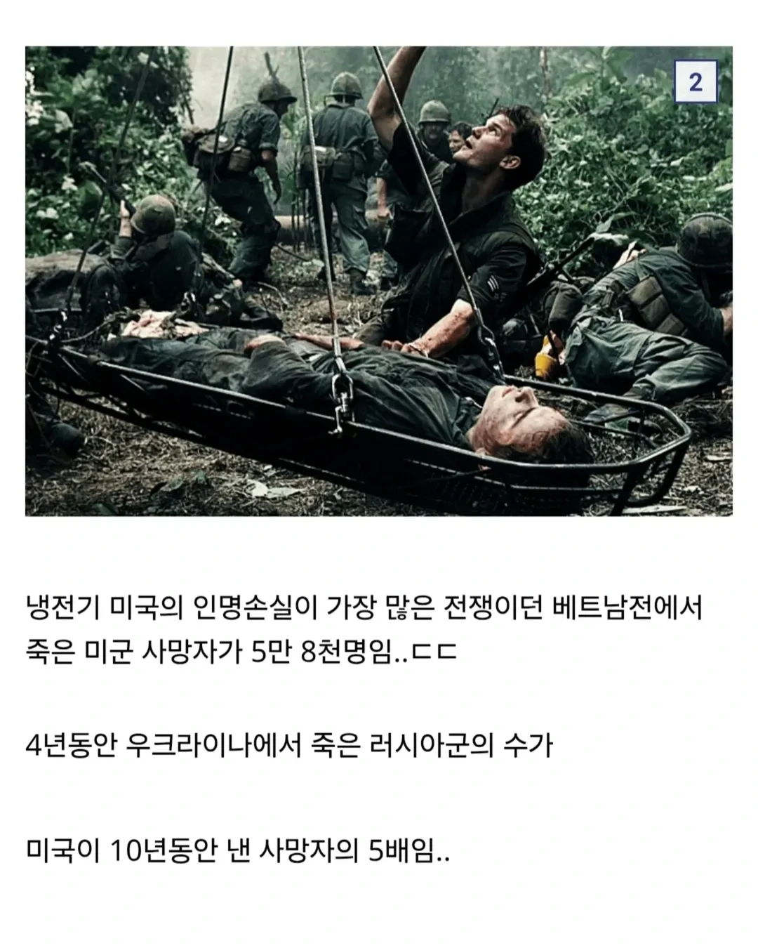 41.webp