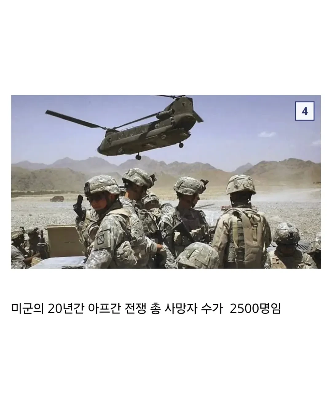 43.webp