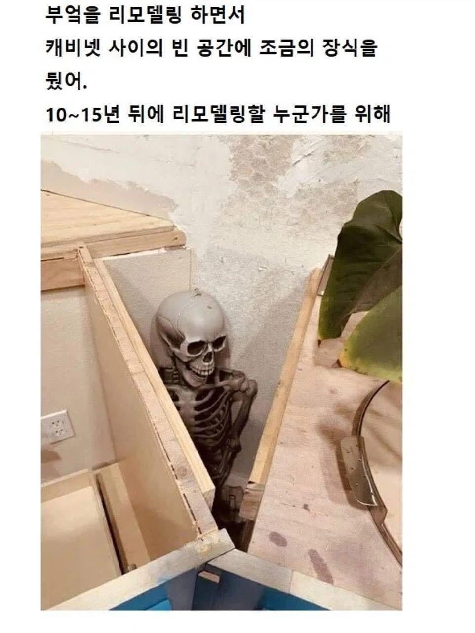 KakaoTalk_20260515_121015624.jpg
