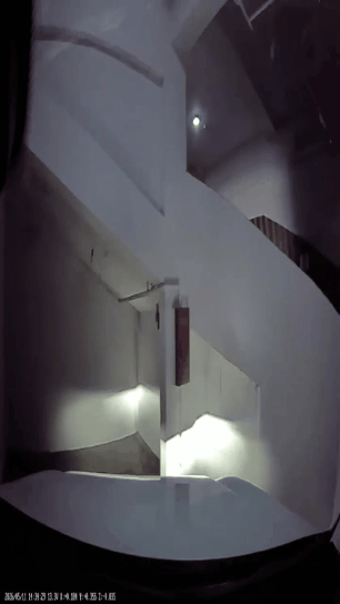 1.gif