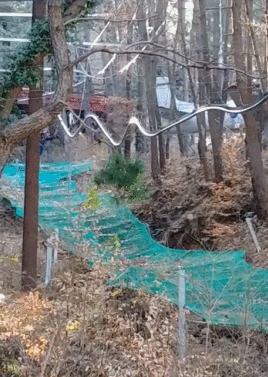 bbjs1672897022_58474840.gif