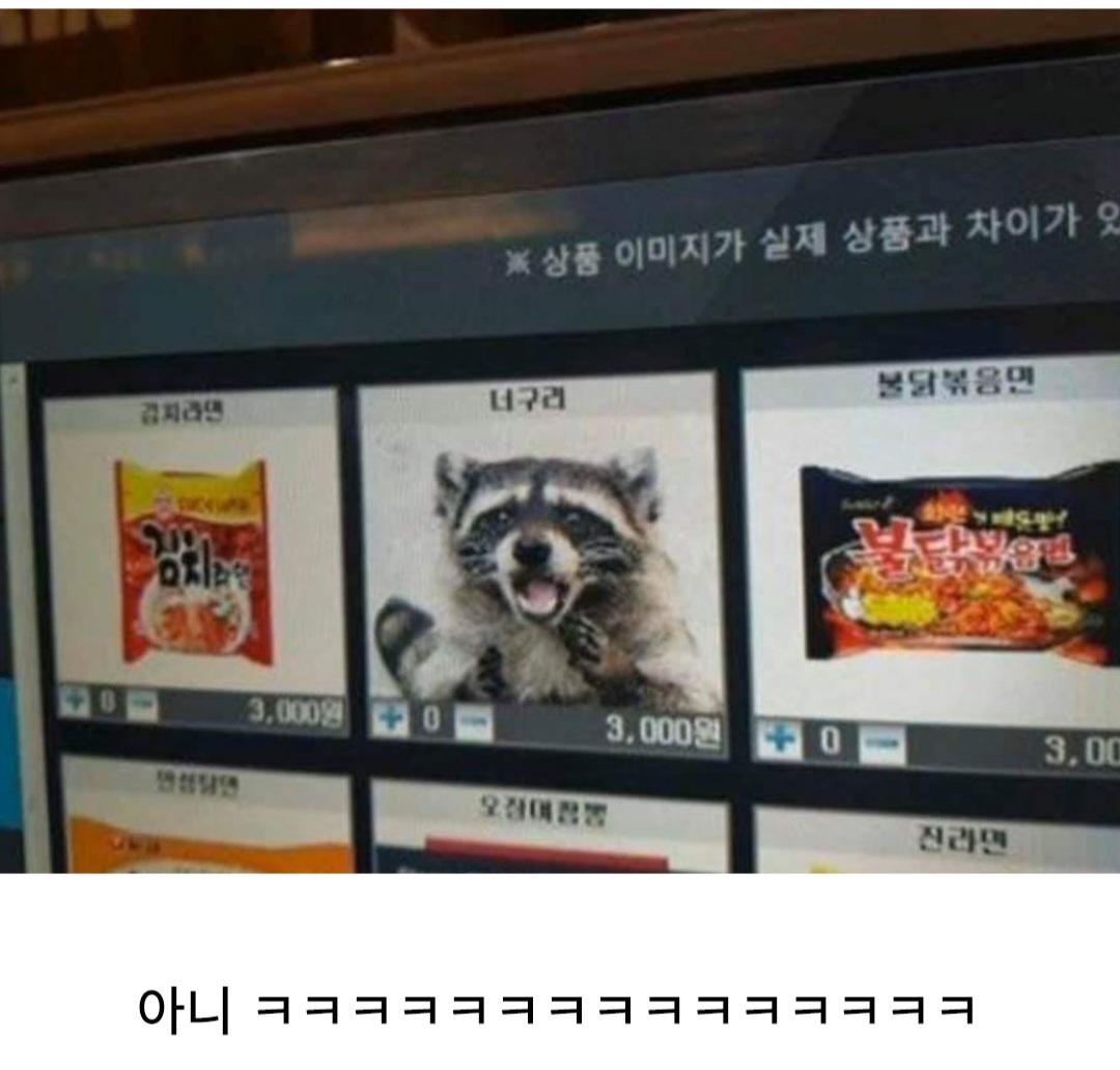 Screenshot_20260516_195317_Instagram.jpg