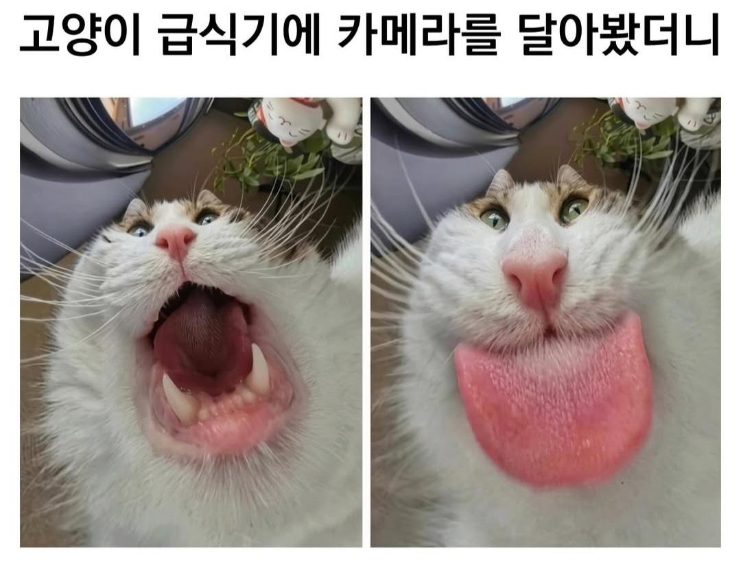 Screenshot_20260517_001942_Instagram.jpg