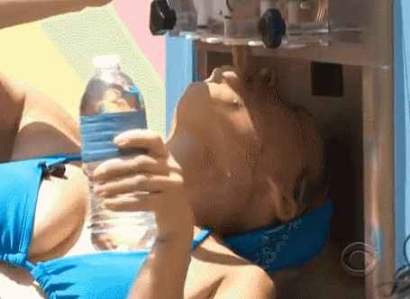353492641adfsvcxfdb17f339.gif