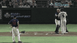 0909598ae2c9753b32942407.gif