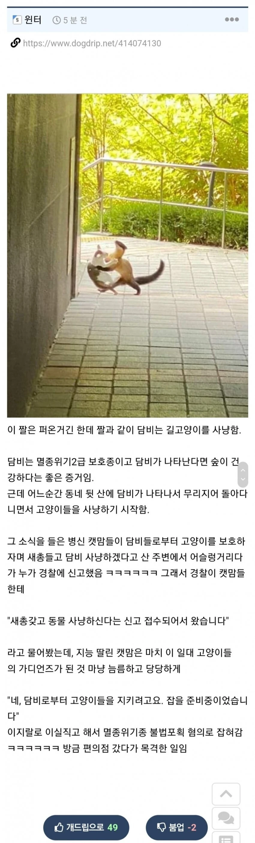 1000102753.webp