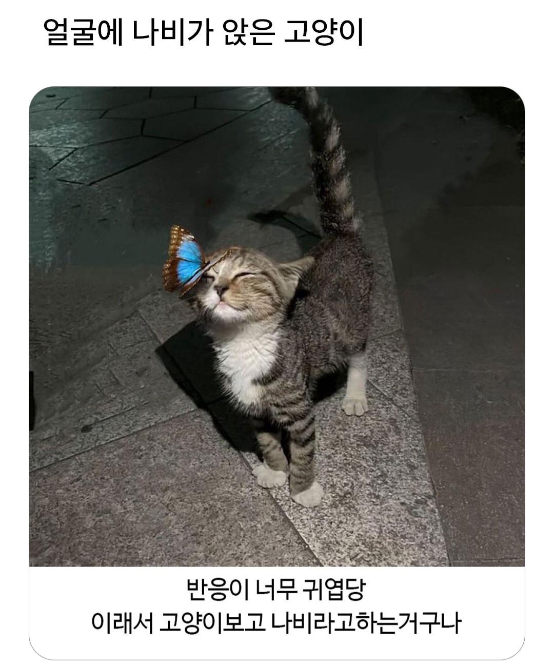 Screenshot_20260518_111104_Instagram.jpg
