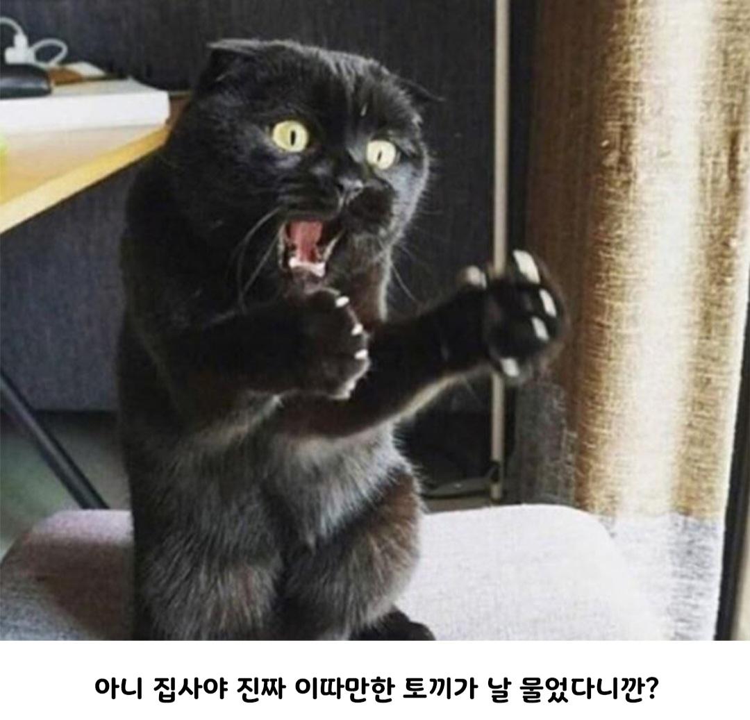 Screenshot_20260518_113400_Instagram.jpg
