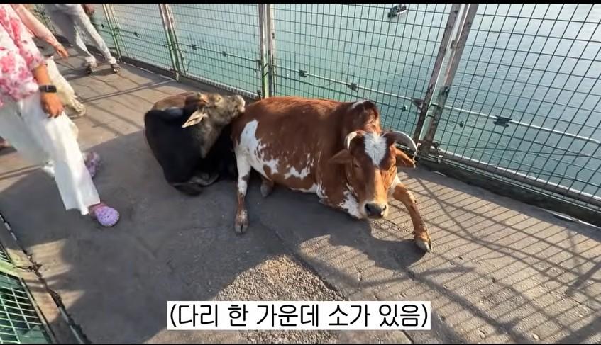 화면 캡처 2026-05-11 112705.jpg
