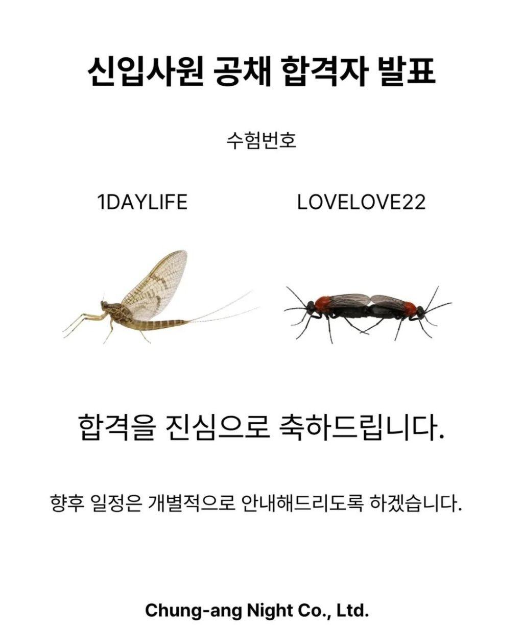 fbaa5c874e9ea60afdcec6a1a9d4cfee.jpg