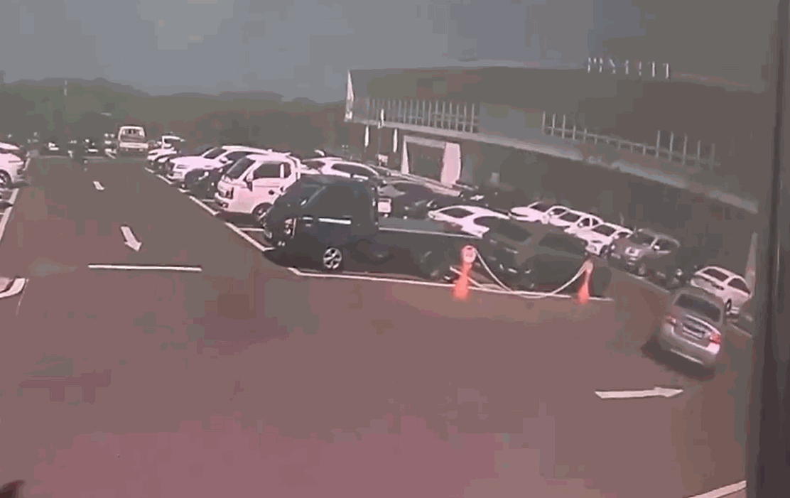 1.gif