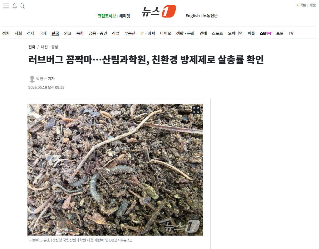 러브버그.png