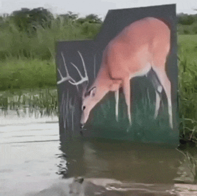 65756.gif
