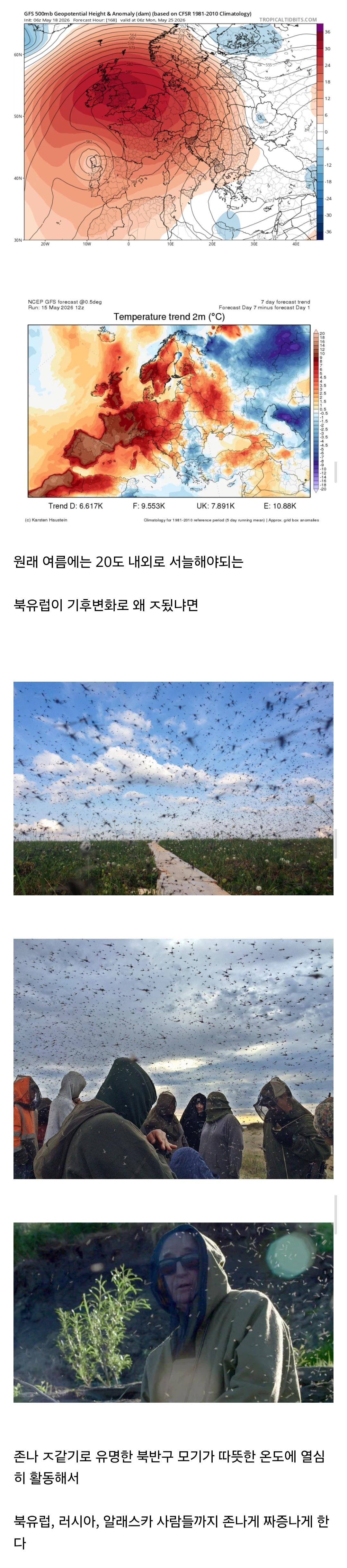 012c34c4-02c7-463a-9e3a-00583c5b4798_Screenshot_20260519_.jpg