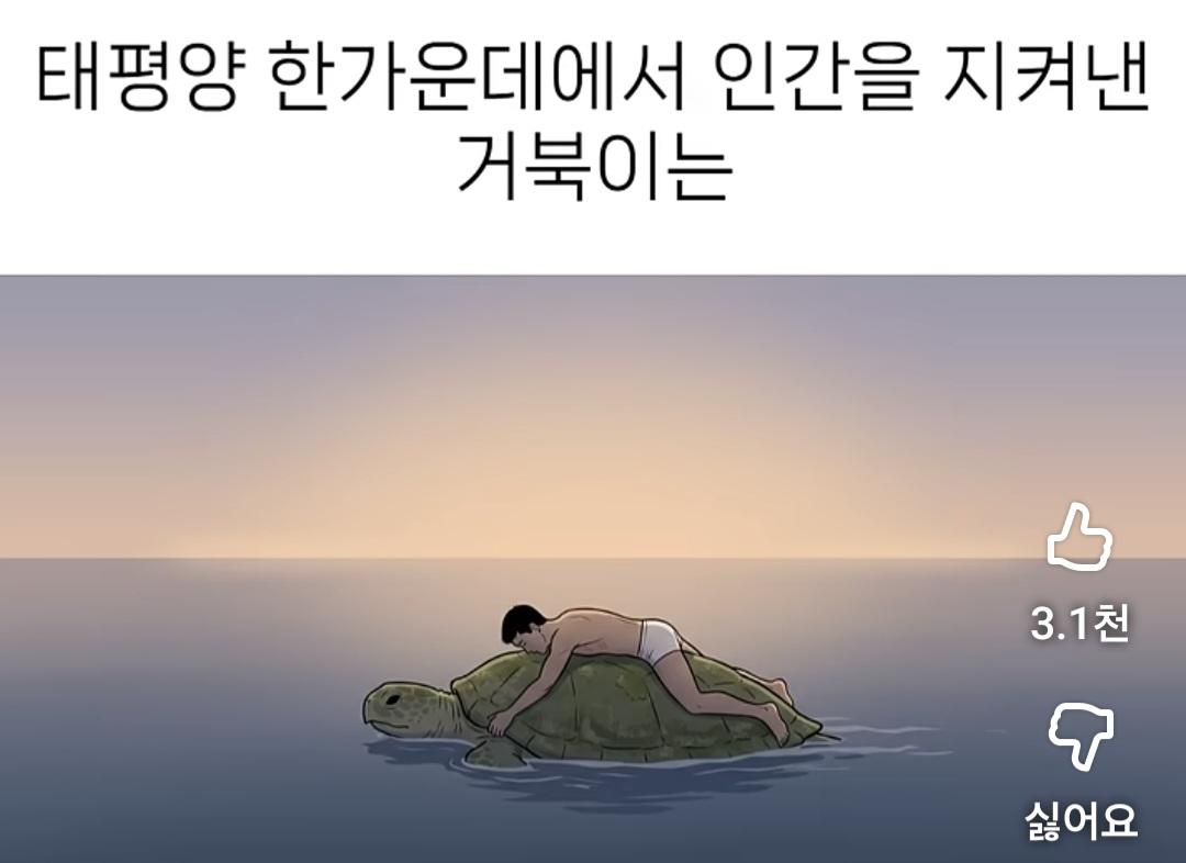 12506.jpg