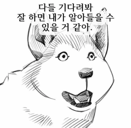1000102913.webp