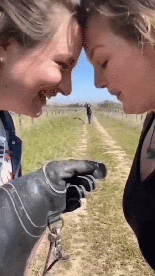 1779177604_626628942.gif
